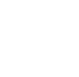 seo-text